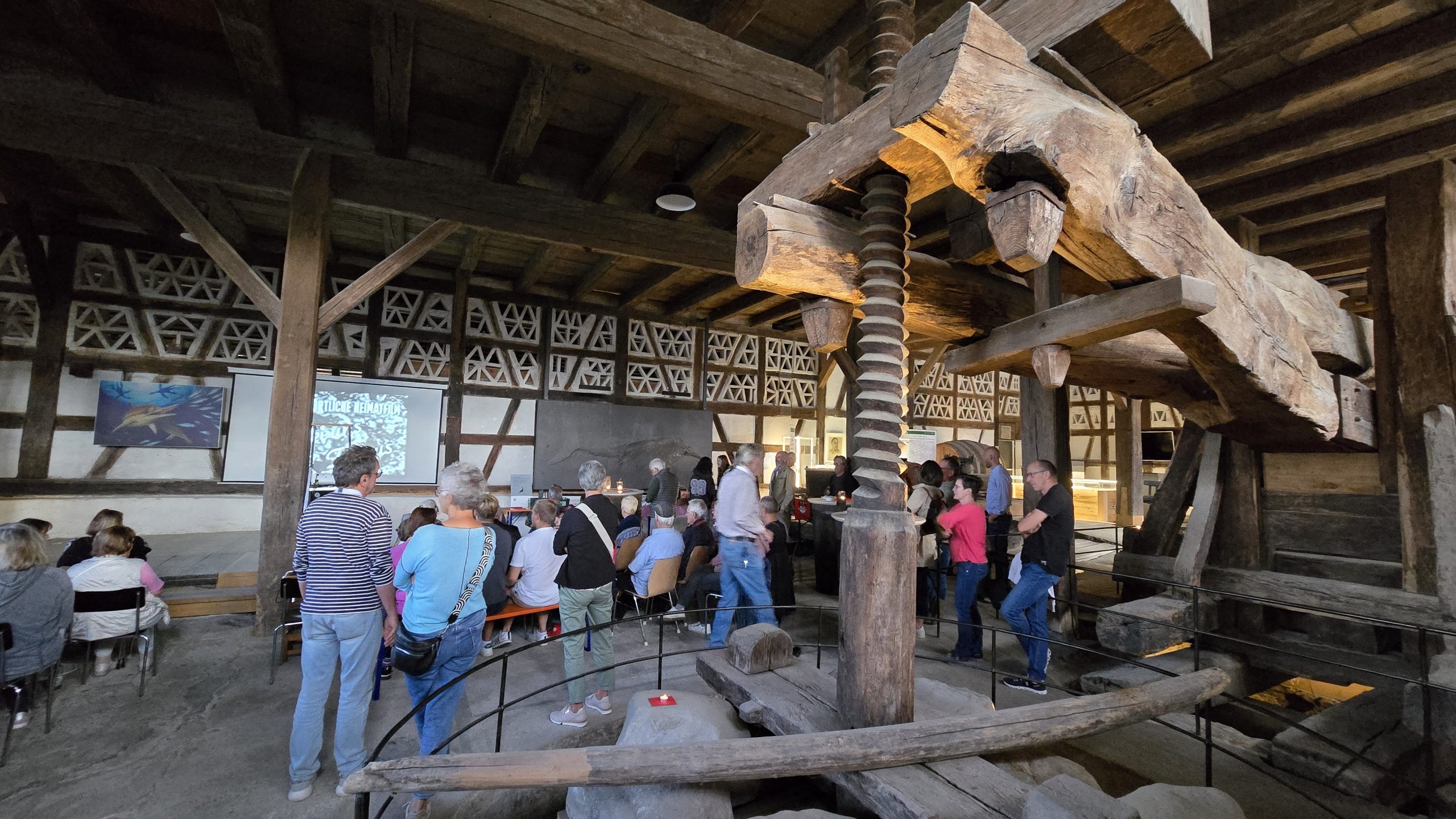 Kritik vom Grünen-Ortsverband Raum Stockach: Museum in der Torkel Bodman soll zu undurchdacht sein