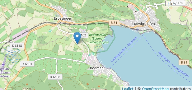 Wer hat es gespürt? Erdbeben mit Stärke 2,5 bei Bodman am frühen Morgen
