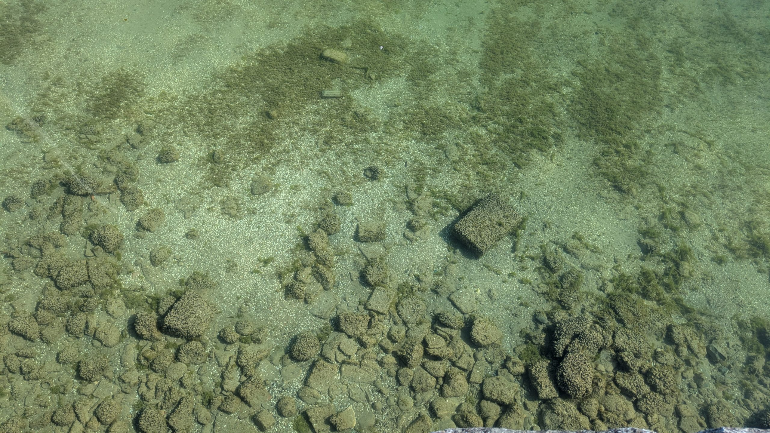 News-Pinnwand: Was war, was kommt, was wichtig ist